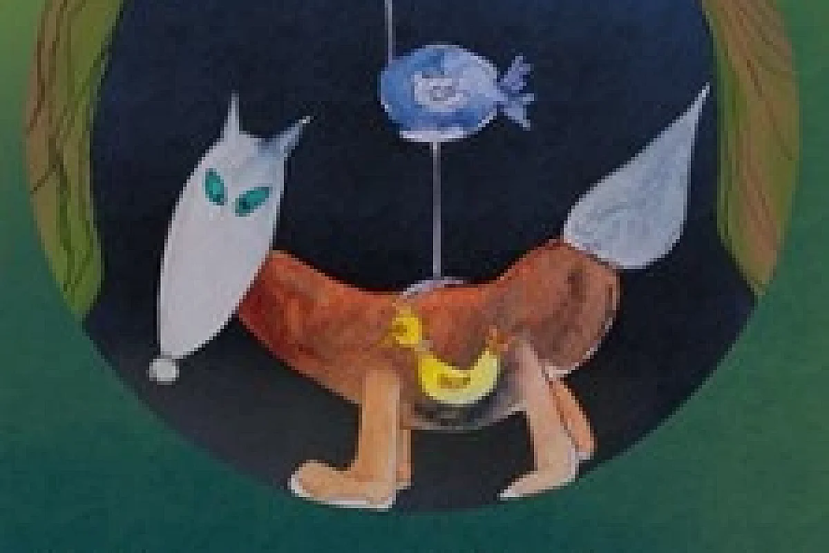 Pierre et le Loup - Aktéon Théâtre Montreuil, Montreuil
