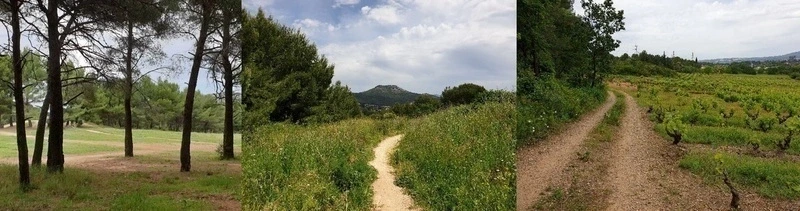 Rando commentée par Marianne dans la forêt de la Salette (12ème) : 