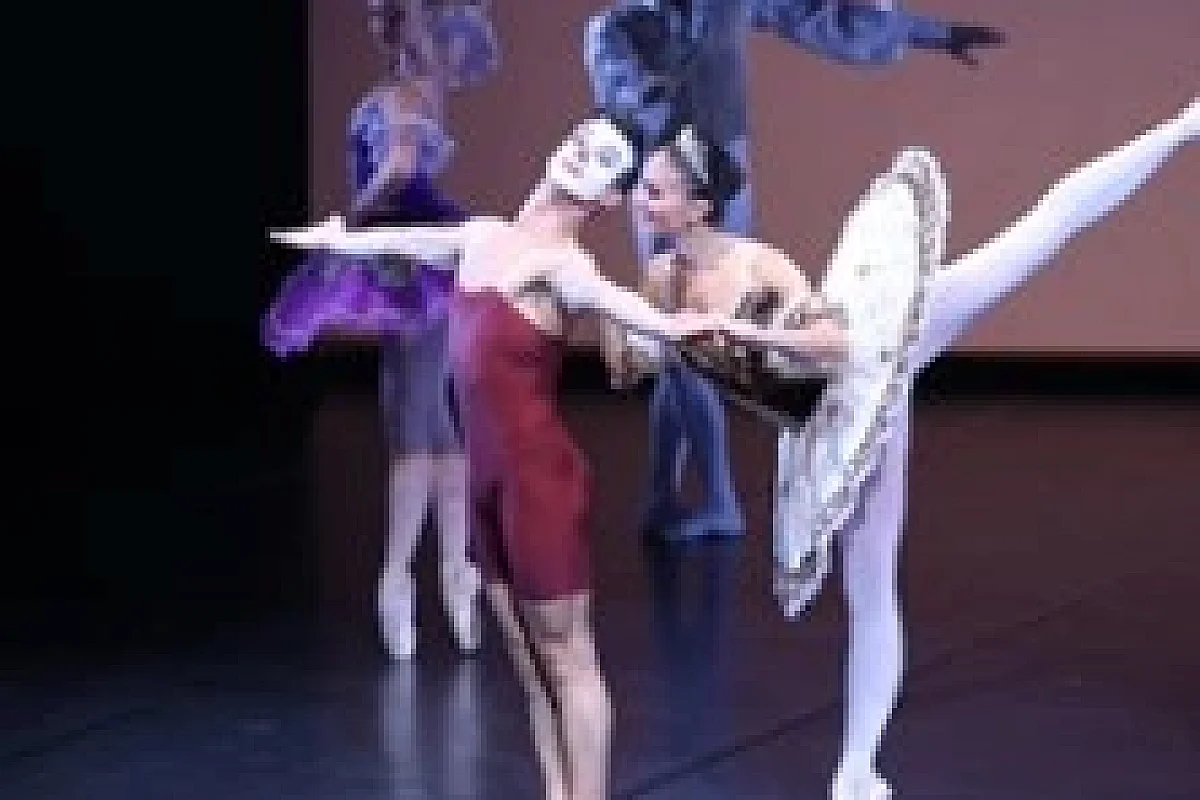 The Dancer(s) - Compagnie François Maudit
