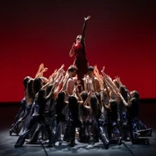 Pluie d'Etoiles - Stars of the Ballet