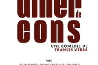 Le Diner de Cons