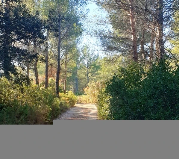 Rando racontée bucolique "Le Paradis et le Vallat de la Marteleine" : 