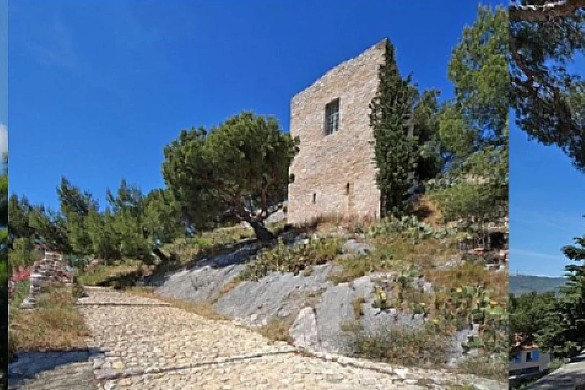 Image 4