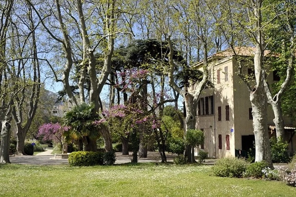 Image 5