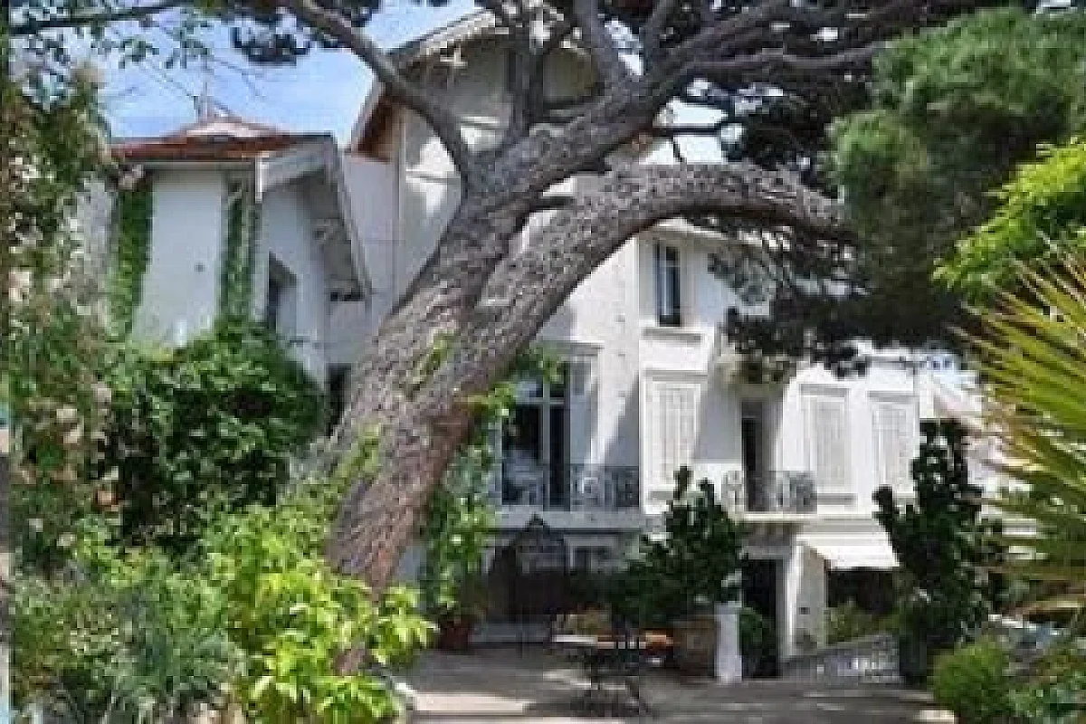 Image 11