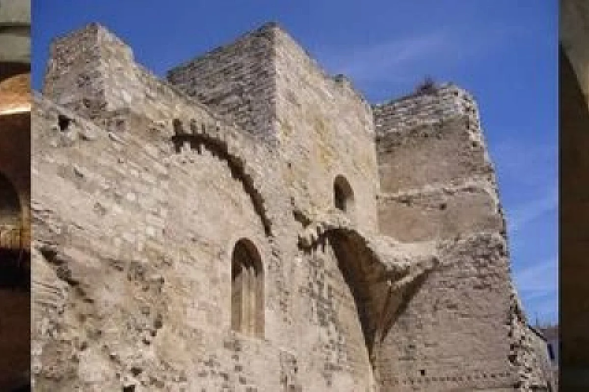 Image 4