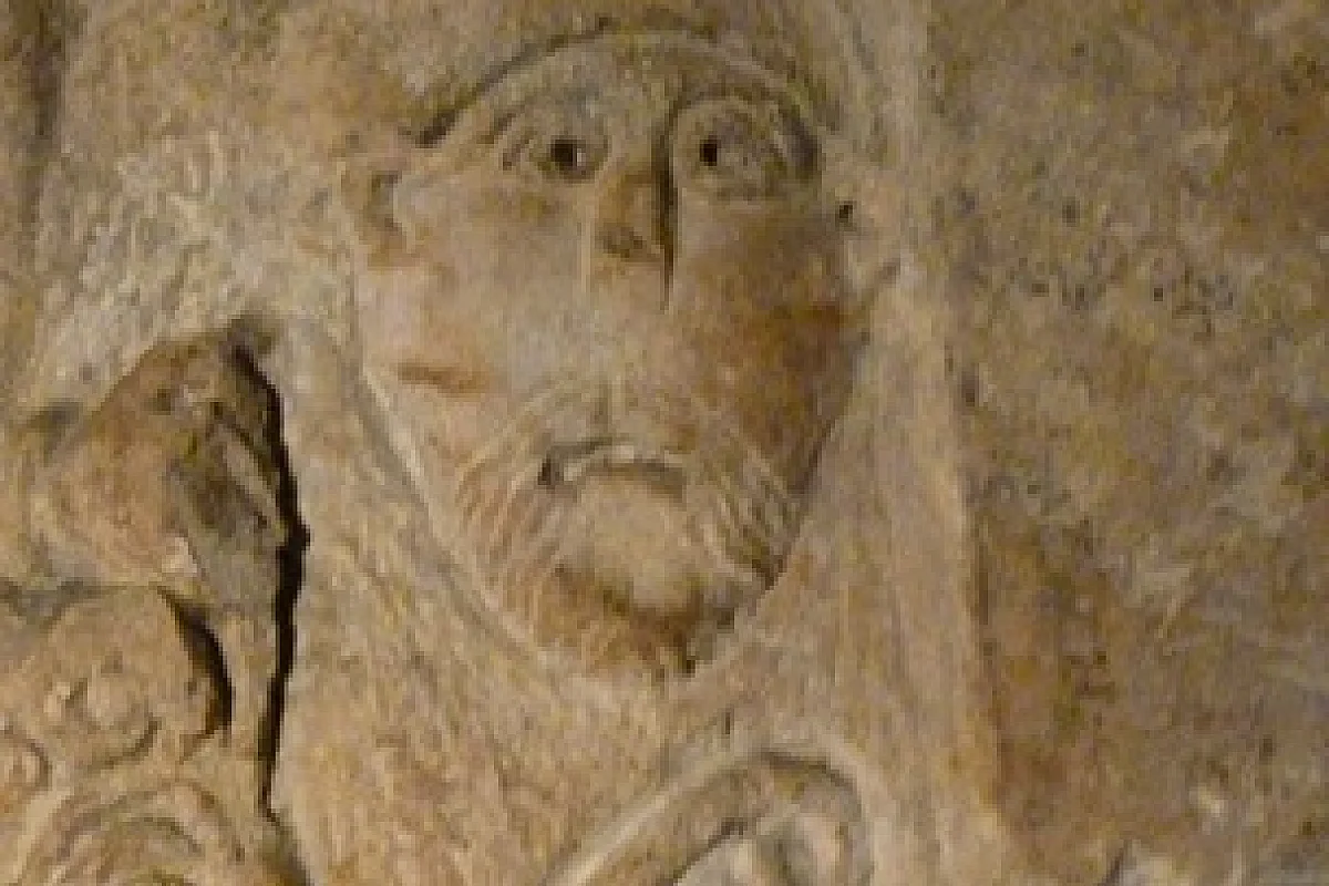 Image 6