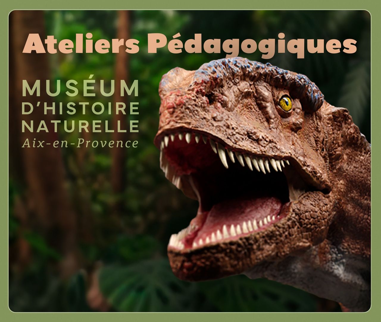 teliers pédagogiques du Muséum d'Histoire Naturelle