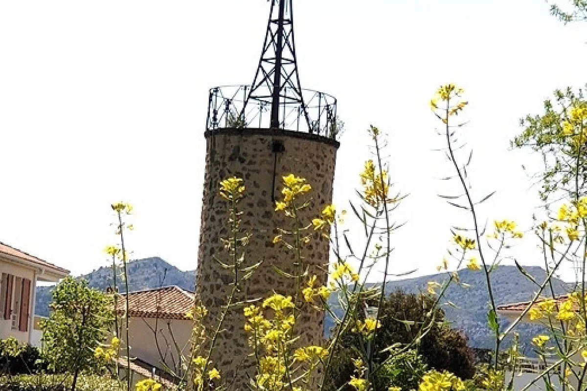 Image 7