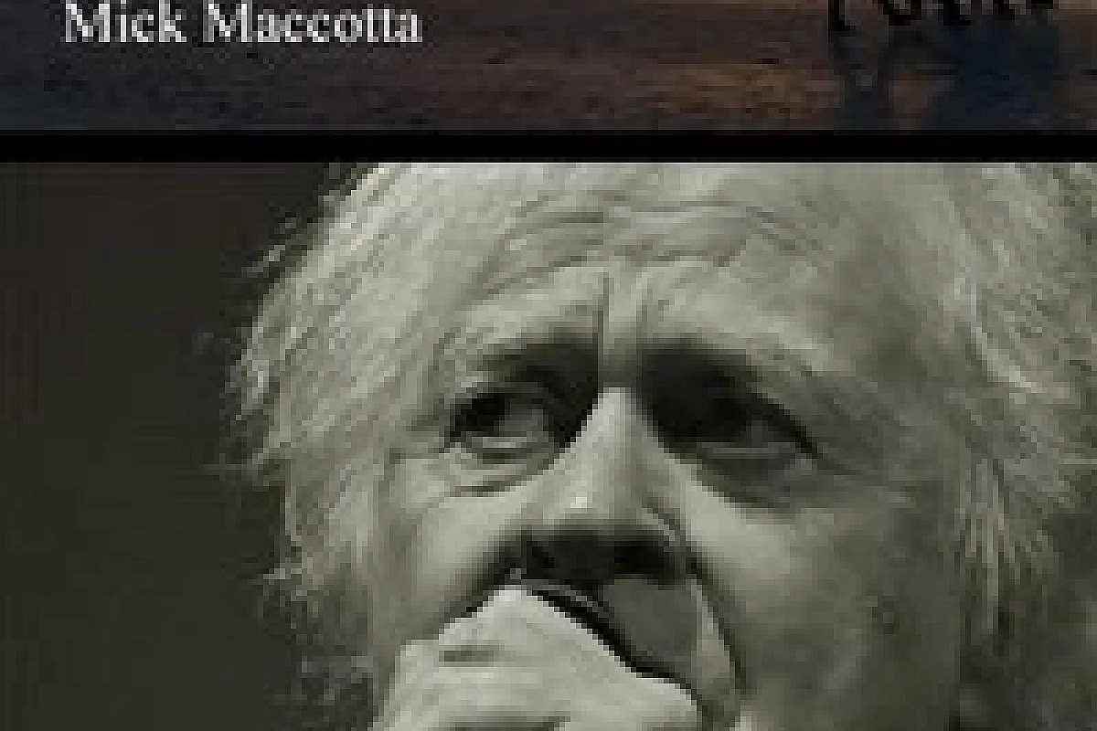 Mick Maccotta en concert accoustique