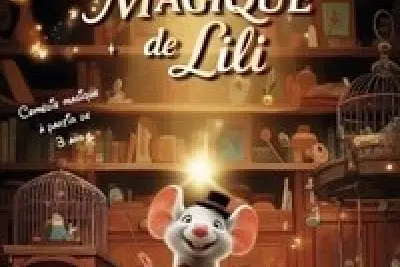 Le grenier magique de Lili
