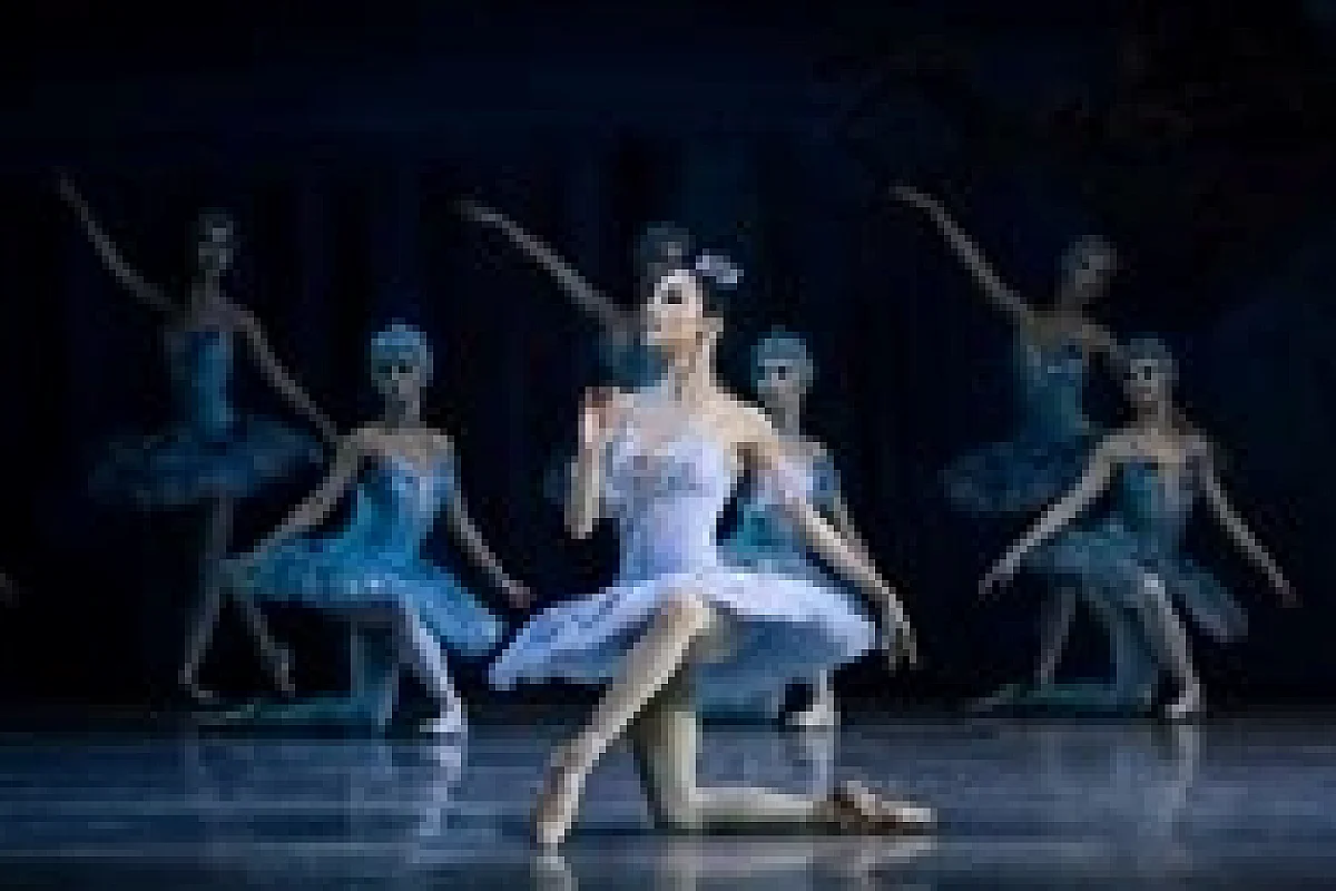 La belle au bois dormant