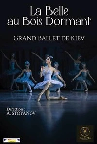 La belle au bois dormant