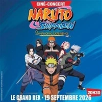 Naruto Shippuden Synphonic Experience