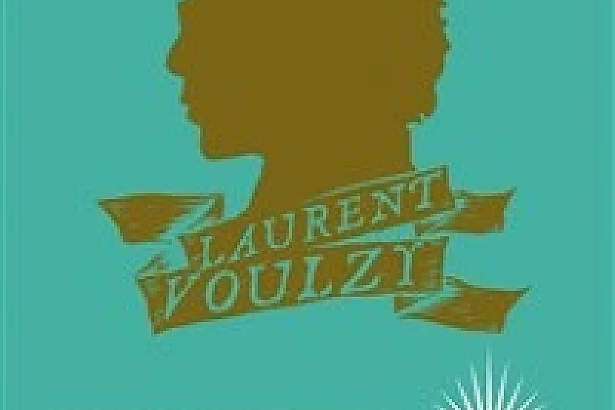 Laurent Voulzy en concert