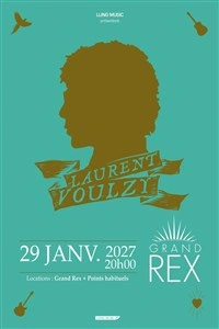 Laurent Voulzy en concert