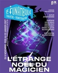L'étrange noël du magicien