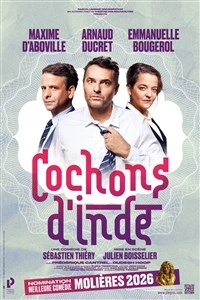 Cochons d'Inde
