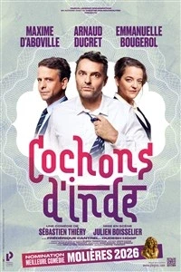 Cochons d'Inde