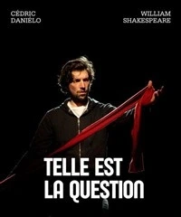 Telle est la question
