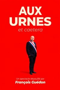 François Guedon dans Aux urnes et caetera