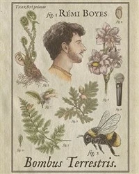 Rémi Boyes dans Bombus Terrestris