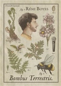 Rémi Boyes dans Bombus Terrestris
