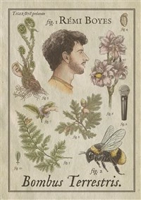 Rémi Boyes dans Bombus Terrestris