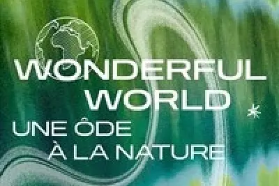 Wonderful world