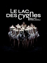 Ballet Preljocaj présente Le Lac des cygnes