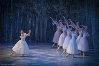 Giselle