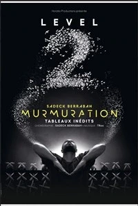Murmuration Level 2