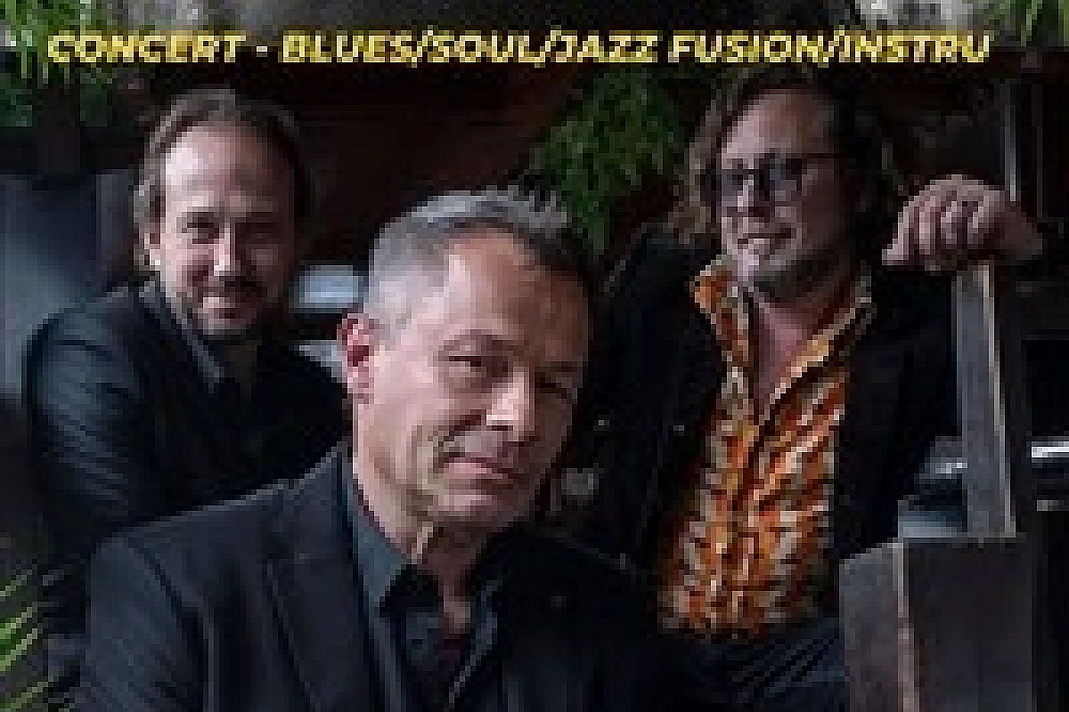 The Roots Organ Trio