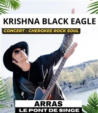 Krishna Black Eagle