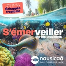 Nausicaá - Centre National de la Mer - Saison 2026