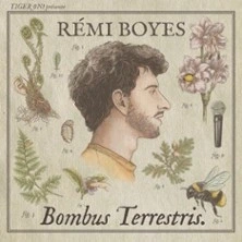 Rémi Boyes - Bombus Terrestris V2 - Le Point Virgule, Paris