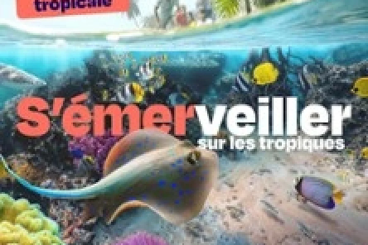 Nausicaá - Centre National de la Mer - Saison 2026