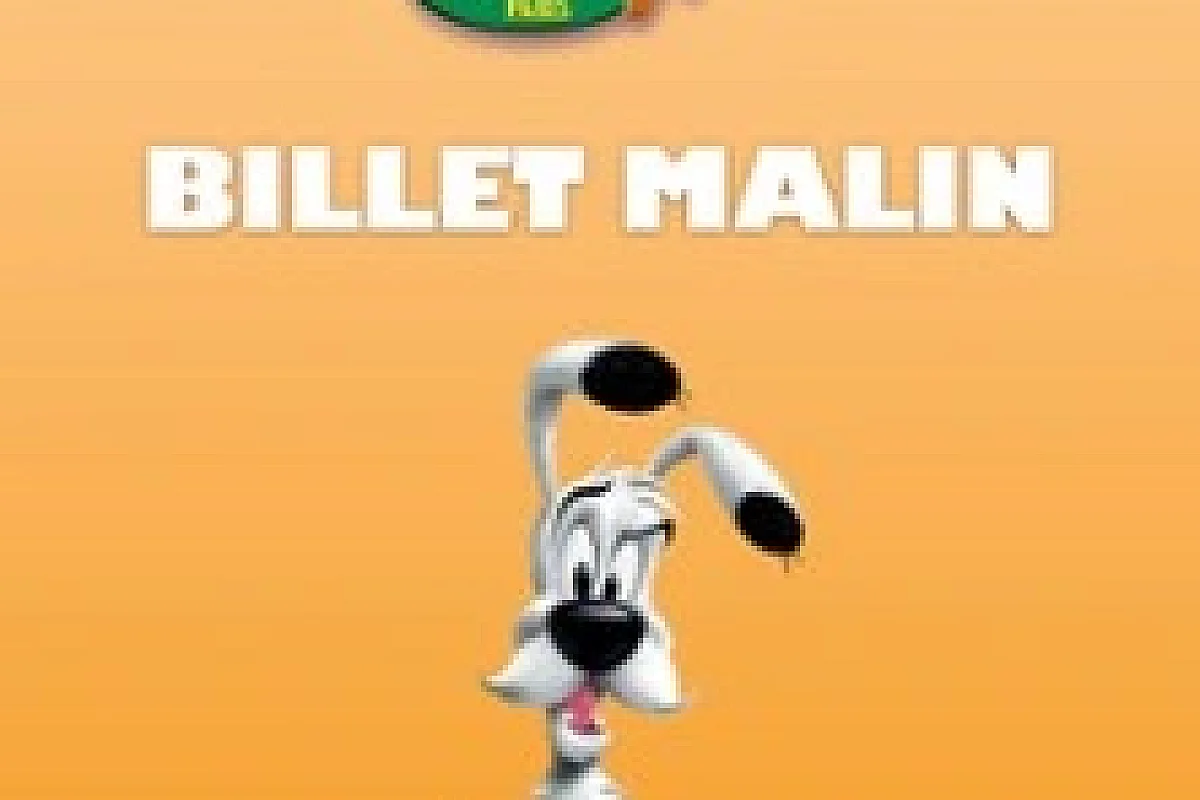 Parc Astérix - Billet Malin