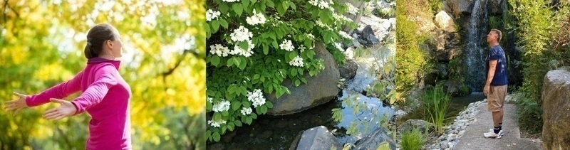 Sophro-balade au jardin botanique : relaxation, respiration, marche consciente 