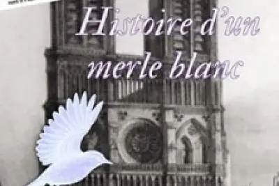 Histoire d'un Merle Blanc - Théâtre du Nord-Ouest, Paris