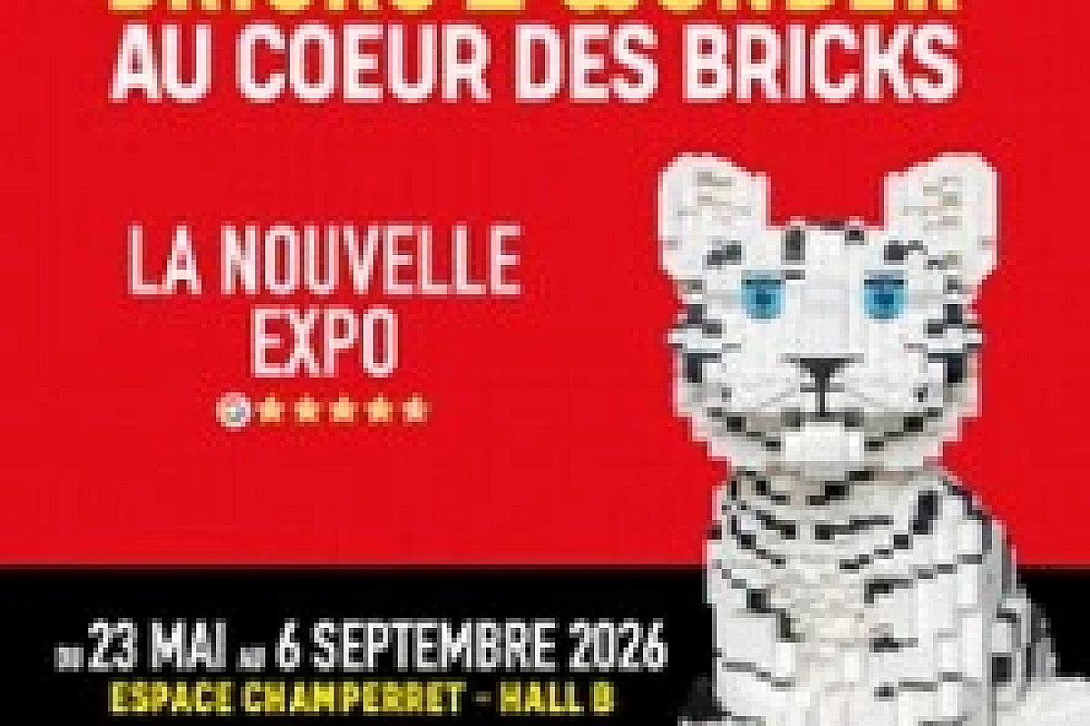 Bricks of Wonder - Au Coeur des Bricks