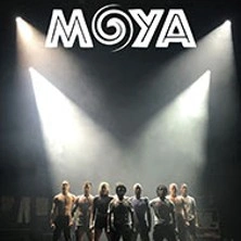 Moya - Zip Zap Circus