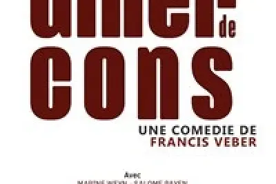 Le dîner de cons