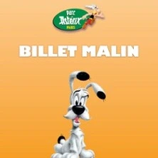 Parc Astérix - Billet Malin