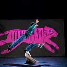 Je suis Tigre