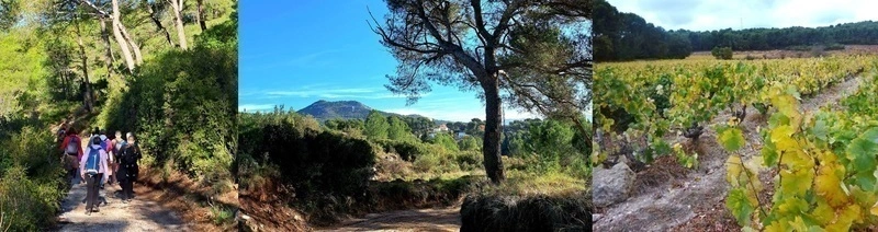 Randonnée commentée jusqu'au Hautes Douces (11e), sur le thème 