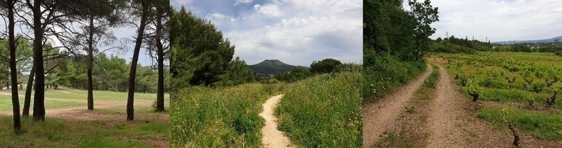 Rando commentée par Marianne dans la forêt de la Salette (12ème) :