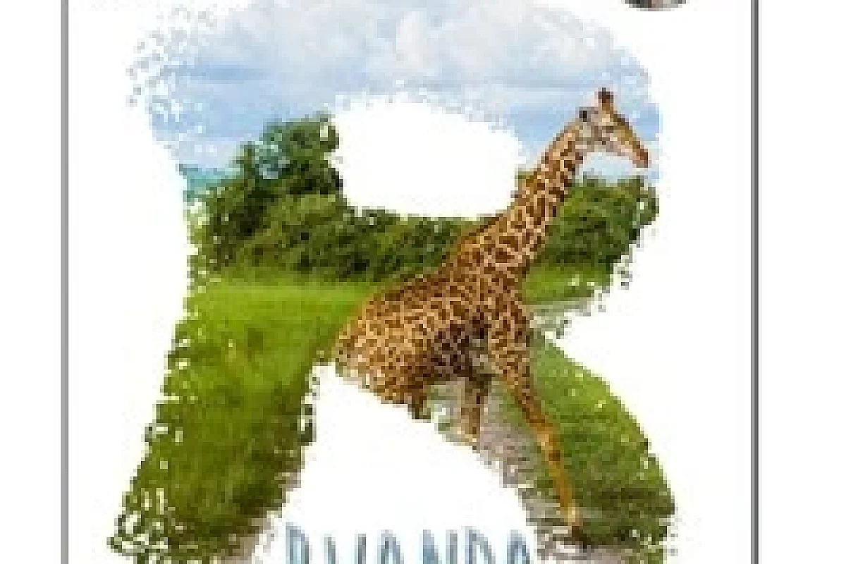 Le Rwanda