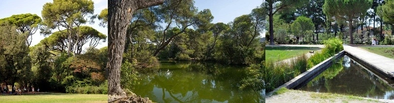 Balade facile dans la forêt de Pastré, avec Myriam 