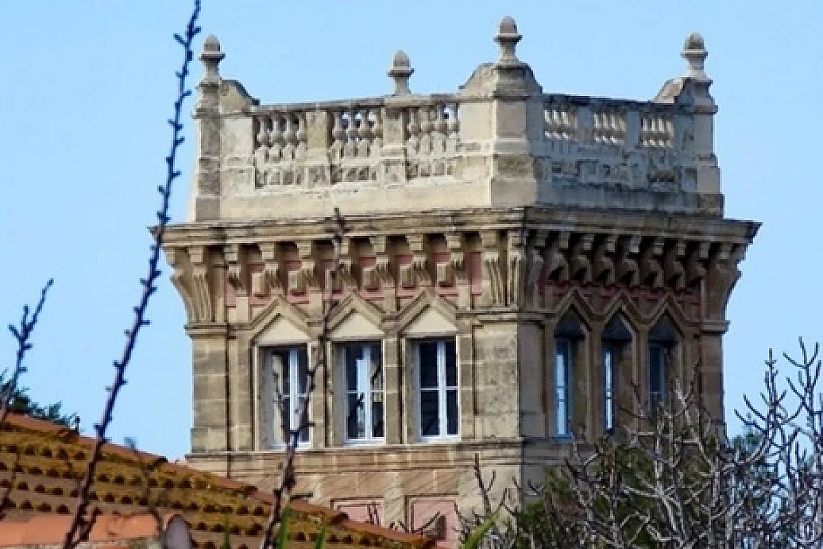 Image 5